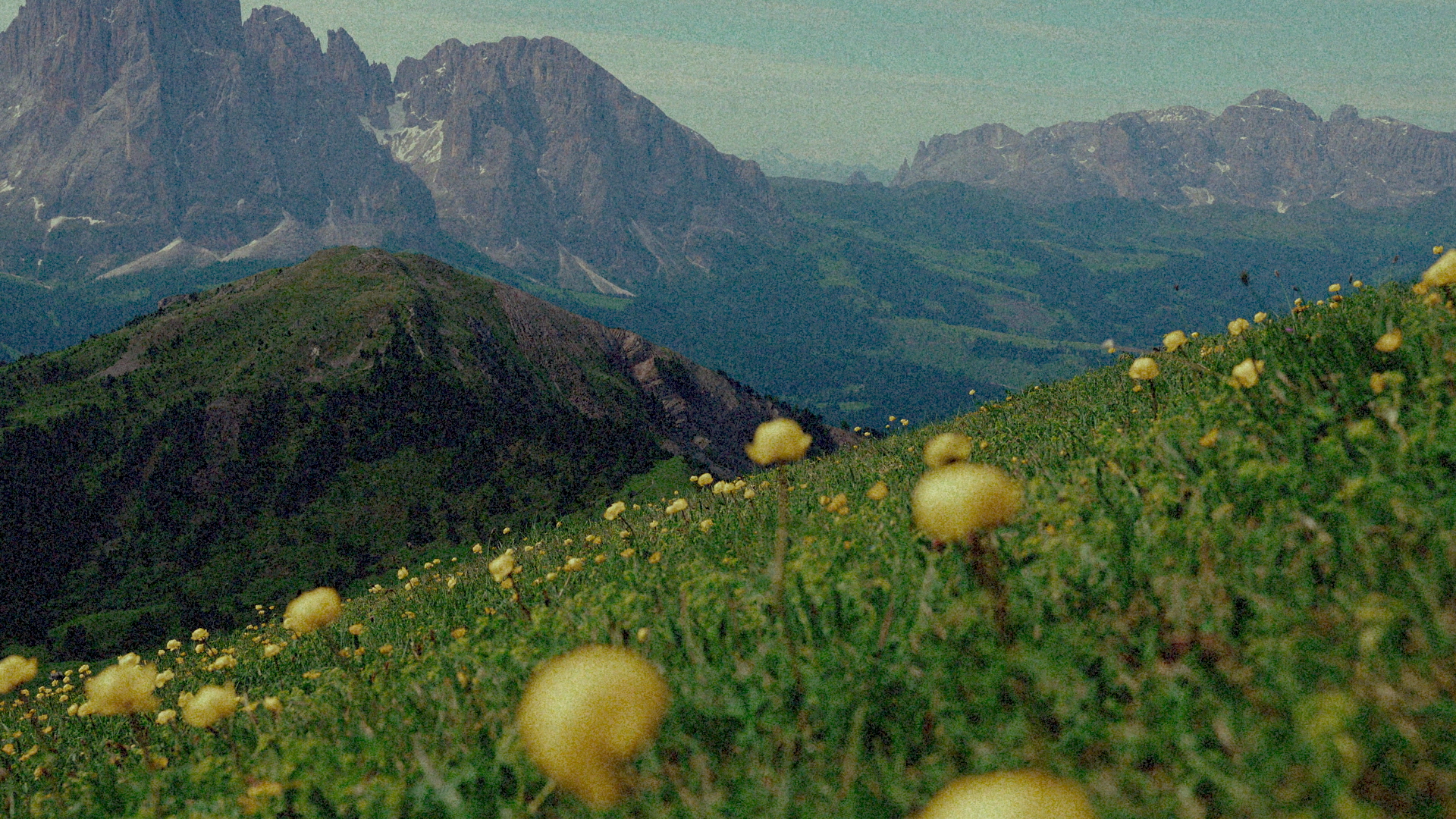 Graded frame with Portra 400 grain applied — visible in the midtones, sparse in the shadows, flattened in the highlights