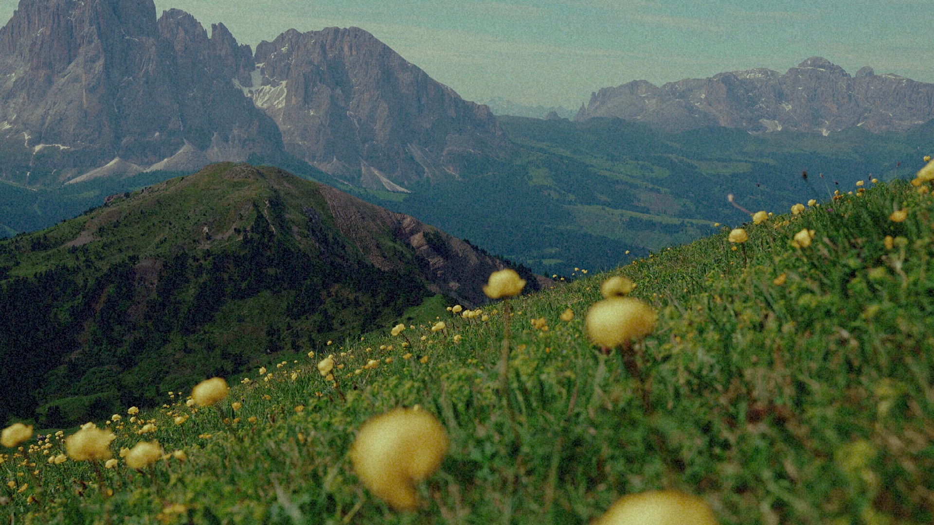 Graded frame with Velvia 50 grain applied — visible in the midtones, sparse in the shadows, flattened in the highlights